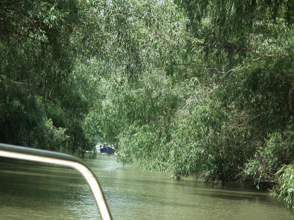 מוריגיול Vila Lotus מראה חיצוני תמונה