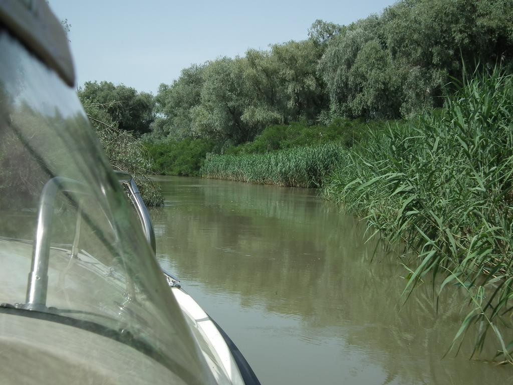 מוריגיול Vila Lotus מראה חיצוני תמונה